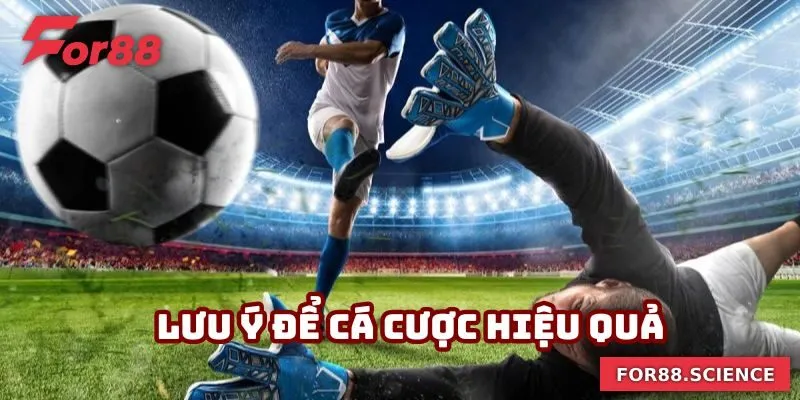 Lưu ý để cá cược hiệu quả