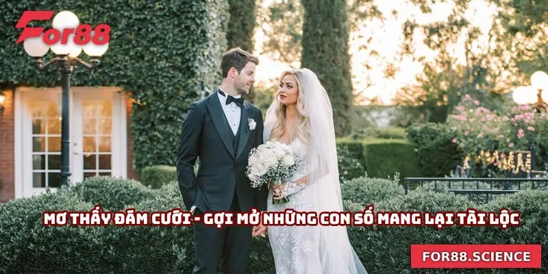 Mơ Thấy Đám Cưới - Gợi Mở Những Con Số Mang Lại Tài Lộc Mơ Thấy Đám Cưới - Gợi Mở Những Con Số Mang Lại Tài Lộc